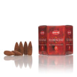 Conuri parfumate backflow Frankincense HEM 40buc