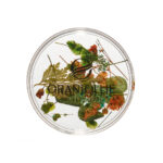 Decor unghii Flori W62 08 Oranjollie