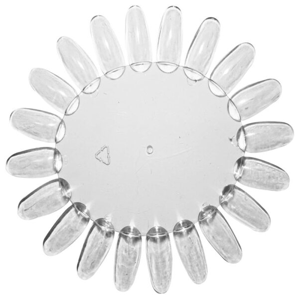 Margareta clear Oranjollie
