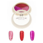 Paleta pigmenti holografici 008 A57F Oranjollie