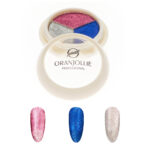 Paleta pigmenti holografici 011 A57H Oranjollie